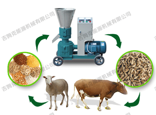 顆粒機(jī)、動物、顆粒